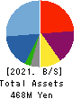 EYEZ,INC. Balance Sheet 2021年12月期