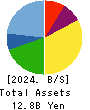 Institute for Q-shu Pioneers of Space Balance Sheet 2024年5月期