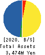 BrightPath Biotherapeutics Co., Ltd. Balance Sheet 2020年Mar期 BrightPath Biotherapeutics Co., Ltd. Balance Sheet 2020年3月期