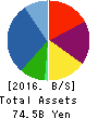 Hoosiers Holdings Balance Sheet 2016年Mar期 Hoosiers Holdings Balance Sheet 2016年3月期