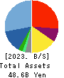 Human Holdings Co.,Ltd. Balance Sheet 2023年Mar期 Human Holdings Co.,Ltd. Balance Sheet 2023年3月期