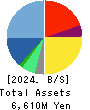 SYS Holdings Co.,Ltd. Balance Sheet 2024年7月期