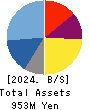 AUN CONSULTING,Inc. Balance Sheet 2024年5月期