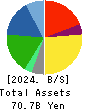 ZERO CO.,LTD. Balance Sheet 2024年6月期