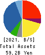 CANOX CORPORATION Balance Sheet 2021年3月期