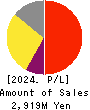 Data Applications Company, Limited Profit and Loss Account 2024年3月期