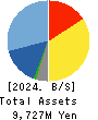 ASMO CORPORATION Balance Sheet 2024年3月期