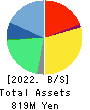 Softfront Holdings Balance Sheet 2022年Mar期 Softfront Holdings Balance Sheet 2022年3月期
