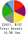 CVS Bay Area Inc. Balance Sheet 2021年2月期