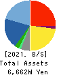 System Support Holdings Inc. Balance Sheet 2021年6月期