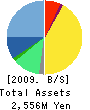 ADVAX Corporation Balance Sheet 2009年3月期