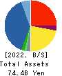 SATORI ELECTRIC CO.,LTD. Balance Sheet 2022年May期 SATORI ELECTRIC CO.,LTD. Balance Sheet 2022年5月期