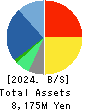 All About,Inc. Balance Sheet 2024年3月期