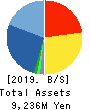 ELAN Corporation Balance Sheet 2019年12月期