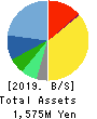 DATA HORIZON CO.,LTD. Balance Sheet 2019年Jun期 DATA HORIZON CO.,LTD. Balance Sheet 2019年6月期