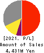 Ricksoft Co.,Ltd. Profit and Loss Account 2021年2月期