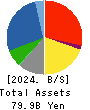 HASHIMOTO SOGYO HOLDINGS CO.,LTD. Balance Sheet 2024年3月期