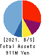 tripla Co.,Ltd. Balance Sheet 2021年10月期