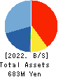 Ame Kaze Taiyo,Inc. Balance Sheet 2022年12月期