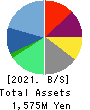 AVIX, Inc. Balance Sheet 2021年3月期