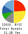 Cybozu, Inc. Balance Sheet 2020年12月期