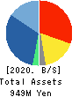 SHINTO Holdings,Inc. Balance Sheet 2020年1月期