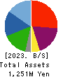 HIROTAGROUP HOLDINGS Co.,Ltd. Balance Sheet 2023年Mar期 HIROTAGROUP HOLDINGS Co.,Ltd. Balance Sheet 2023年3月期