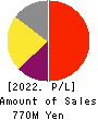PRIME STRATEGY CO.,LTD. Profit and Loss Account 2022年11月期