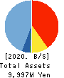 Billing System Corporation Balance Sheet 2020年12月期