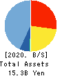 WealthNavi Inc. Balance Sheet 2020年12月期