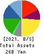 SAINT-CARE HOLDING CORPORATION Balance Sheet 2021年3月期
