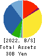 SPK CORPORATION Balance Sheet 2022年3月期