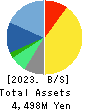IRRC Corporation Balance Sheet 2023年Jun期 IRRC Corporation Balance Sheet 2023年6月期