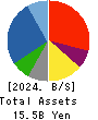 Superbag Company,Limited Balance Sheet 2024年3月期