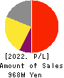 Ridge-i Inc. Profit and Loss Account 2022年7月期