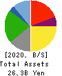 ATOM CORPORATION Balance Sheet 2020年3月期