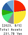 AIN HOLDINGS INC. Balance Sheet 2023年4月期