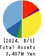 Foodison,Inc. Balance Sheet 2024年Mar期 Foodison,Inc. Balance Sheet 2024年3月期
