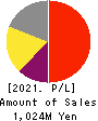 Kokopelli Inc. Profit and Loss Account 2021年Mar期 Kokopelli Inc. Profit and Loss Account 2021年3月期