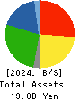ICDA Holdings Co., Ltd. Balance Sheet 2024年Mar期 ICDA Holdings Co., Ltd. Balance Sheet 2024年3月期
