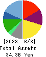 SRS HOLDINGS CO.,LTD. Balance Sheet 2023年Mar期 SRS HOLDINGS CO.,LTD. Balance Sheet 2023年3月期