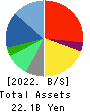istyle Inc. Balance Sheet 2022年6月期