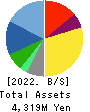 WATTMANN CO.,LTD. Balance Sheet 2022年Mar期 WATTMANN CO.,LTD. Balance Sheet 2022年3月期
