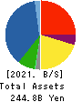 ARE Holdings, Inc. Balance Sheet 2021年Mar期 ARE Holdings, Inc. Balance Sheet 2021年3月期