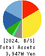 MURAKI CORPORATION Balance Sheet 2024年Mar期 MURAKI CORPORATION Balance Sheet 2024年3月期