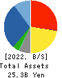 ZETT CORPORATION Balance Sheet 2022年3月期