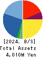 FLECT Co.,Ltd. Balance Sheet 2024年Mar期 FLECT Co.,Ltd. Balance Sheet 2024年3月期