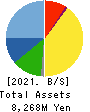 Chugai Mining Co.,Ltd. Balance Sheet 2021年Mar期 Chugai Mining Co.,Ltd. Balance Sheet 2021年3月期
