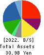 Hibino Corporation Balance Sheet 2022年Mar期 Hibino Corporation Balance Sheet 2022年3月期