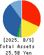 DVx Inc. Balance Sheet 2025年Mar期 DVx Inc. Balance Sheet 2025年3月期